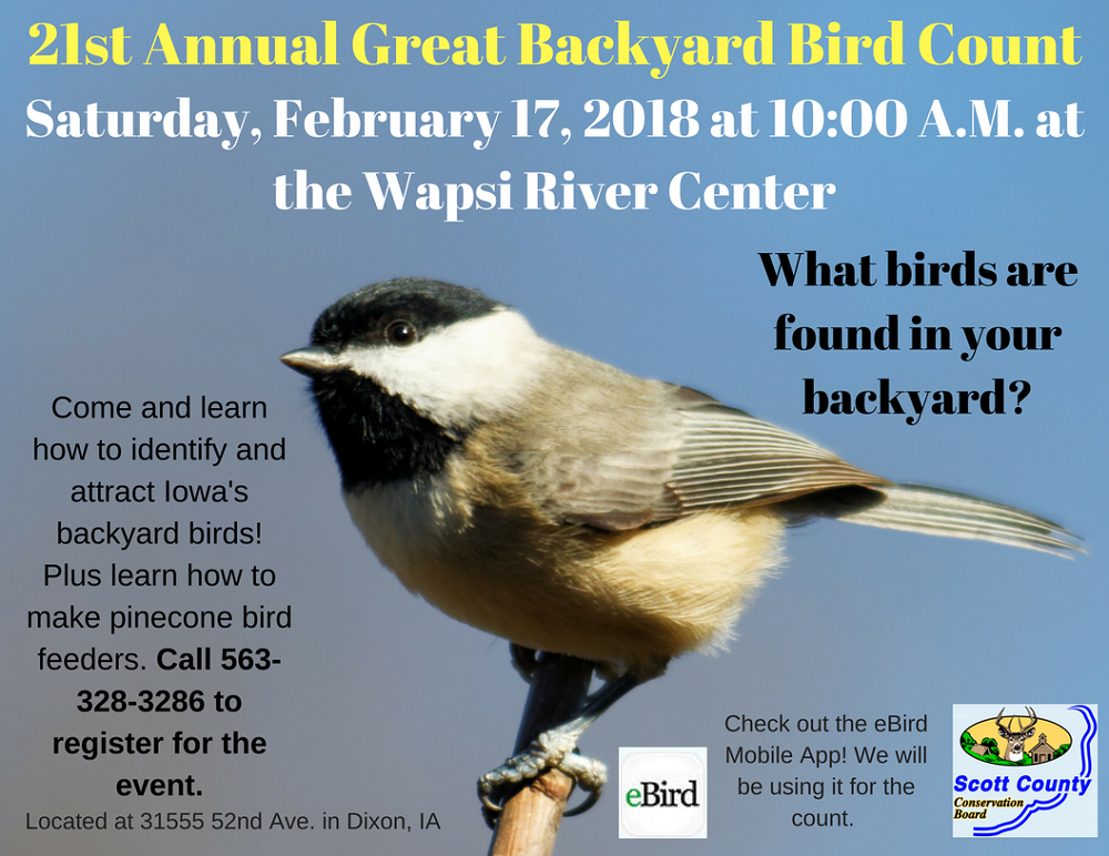 Great Backyard Bird Count | Scott County, Iowa